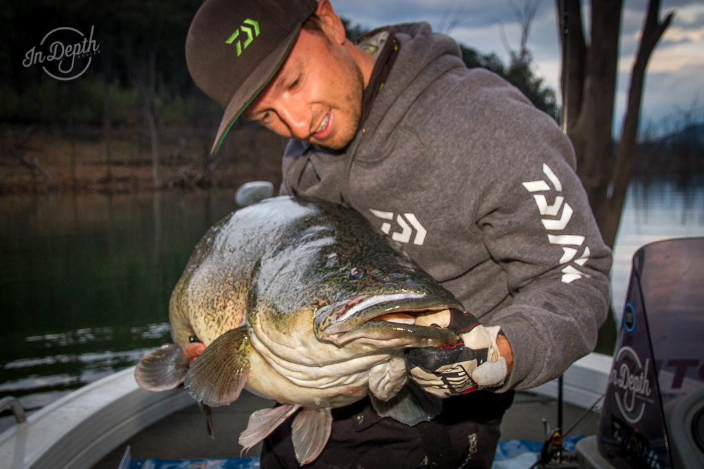 To Catch a Metery – Part 2 – Cod Fishing Lake Eildon