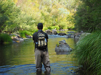 FLY FISHING AROUND VICTORIA