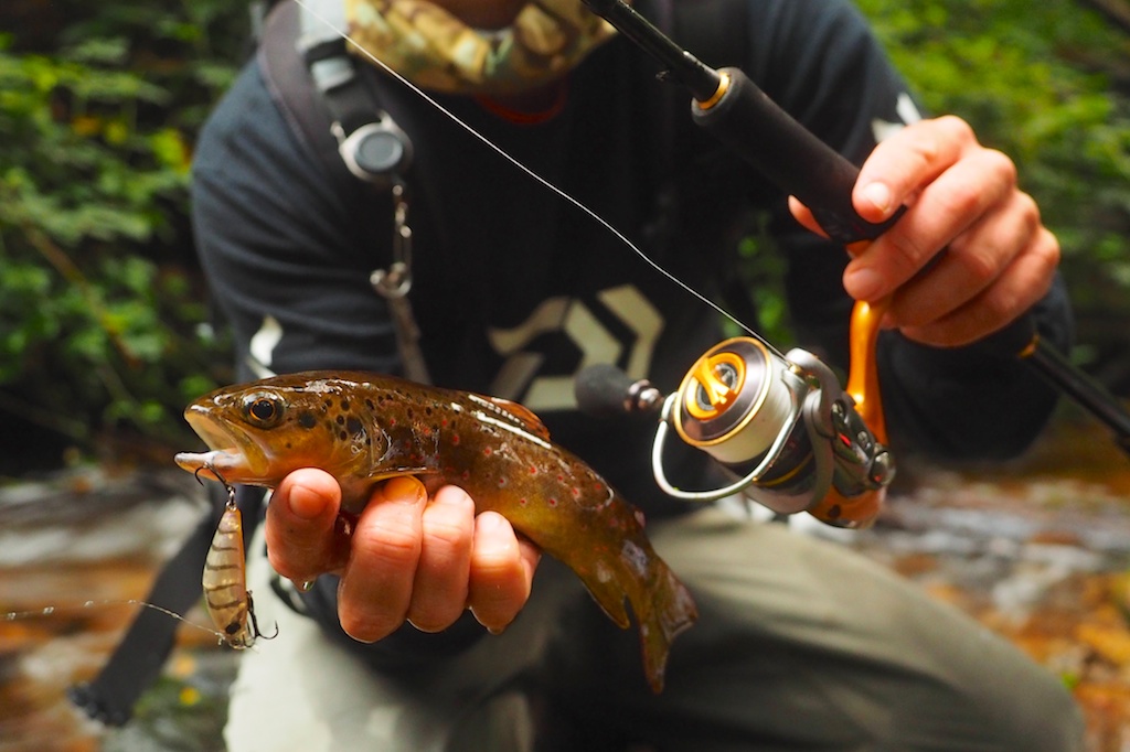 DAIWA FISHING TIPS: 5 tips for catching stream Trout –