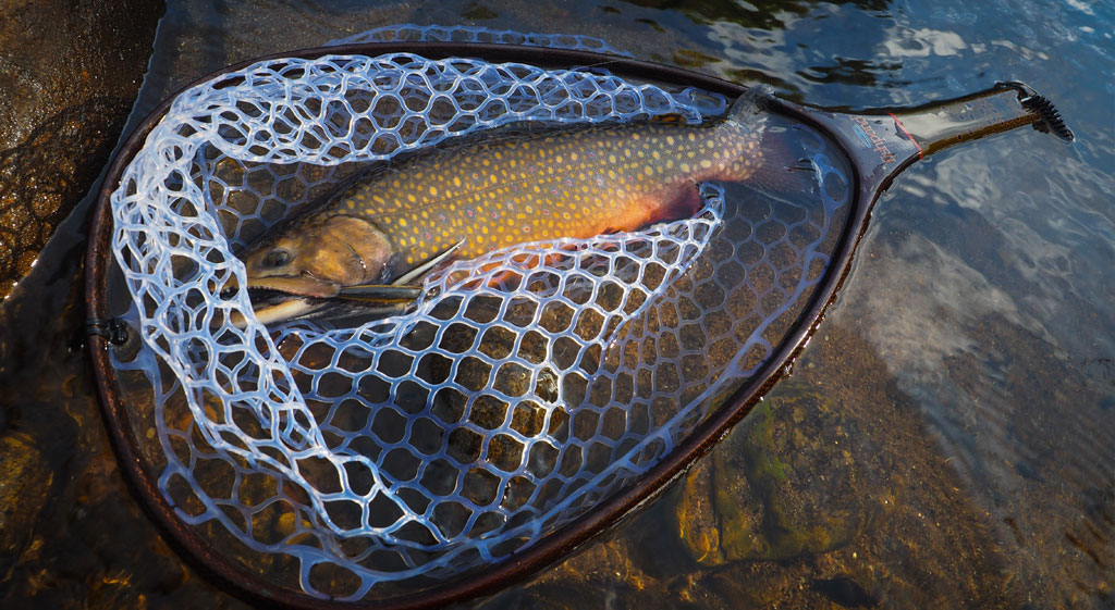 Review: Fishpond Nomad Hand Net