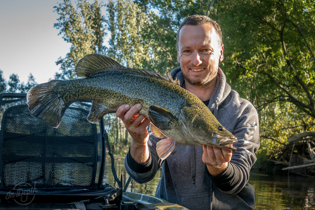 Top 10 Hardbody lures for bream Fishing