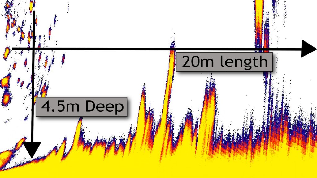 lowrance livesight